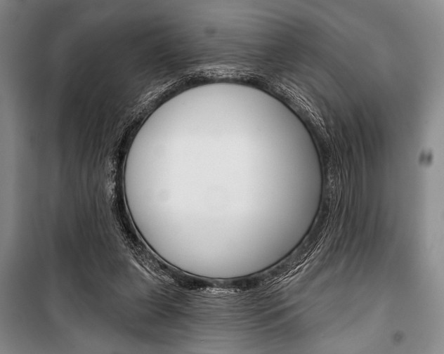 X0000101140255200806270743