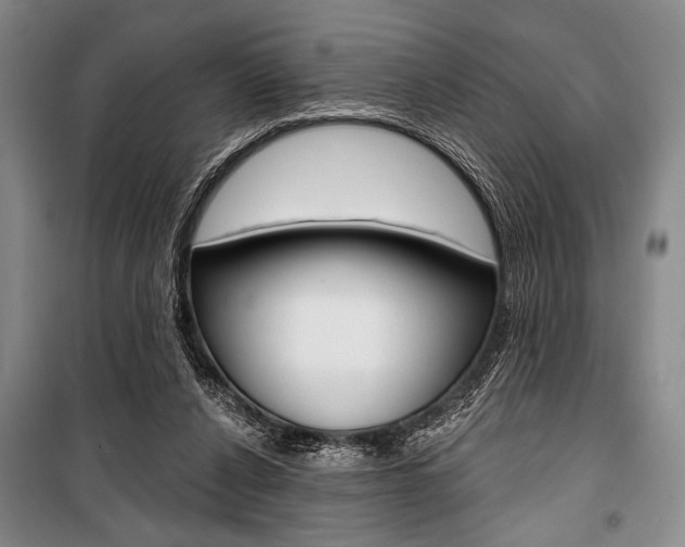 X0000101140256200806270743