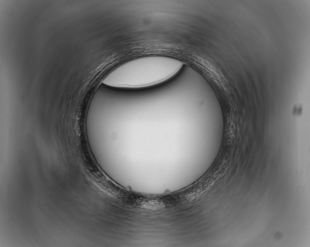 X0000101140258200806270743