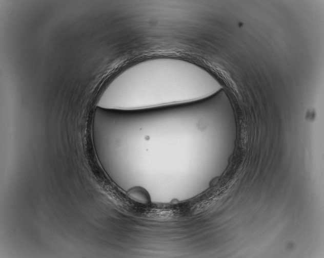 X0000101140260200806270743