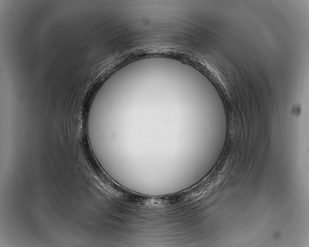 X0000101140261200806270743