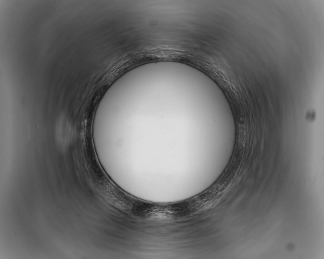 X0000101140263200806270743