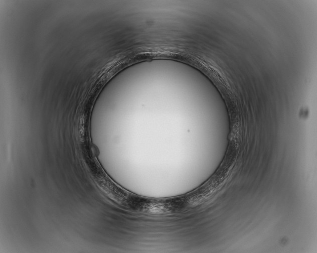 X0000101140264200806270743