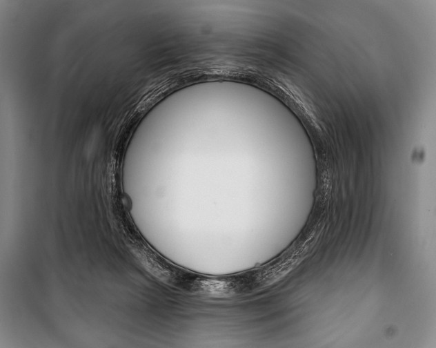 X0000101140265200806270743