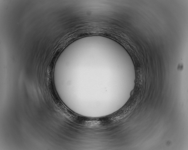 X0000101140266200806270743