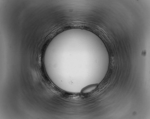 X0000101140267200806270743