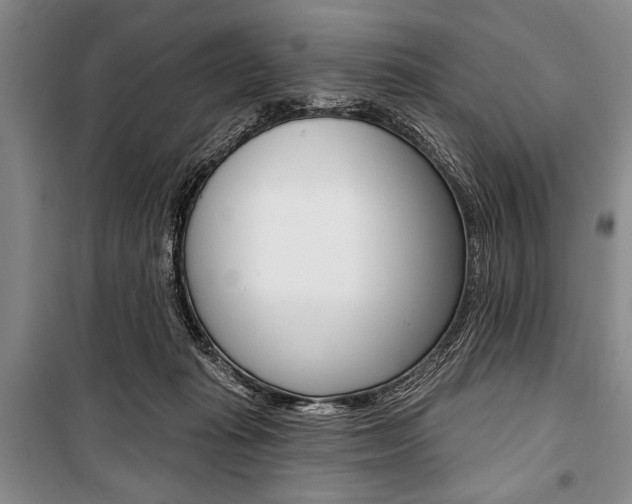 X0000101140269200806270743