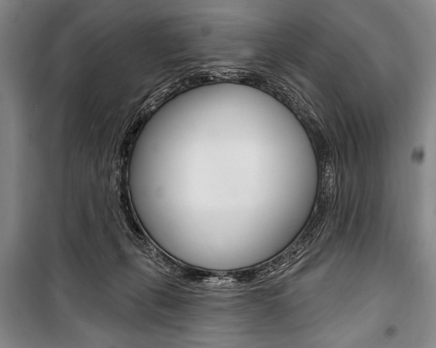 X0000101140271200806270743