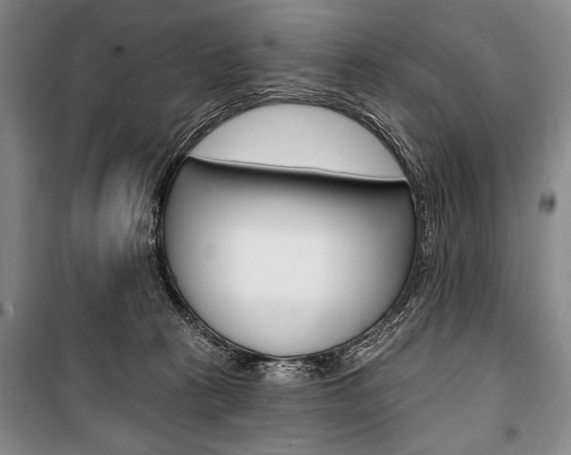 X0000101140273200806270743