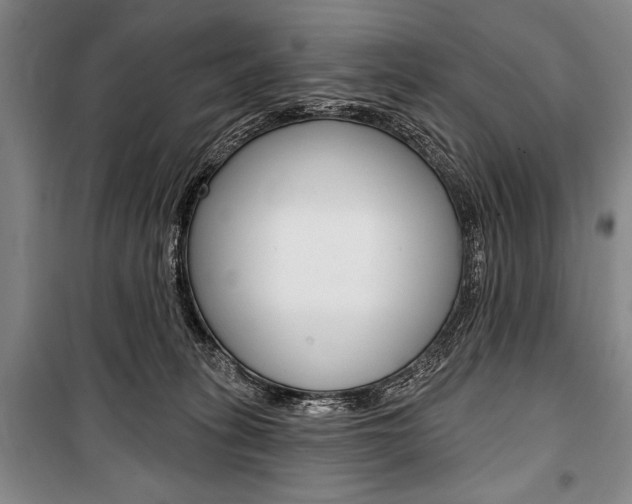 X0000101140275200806270743