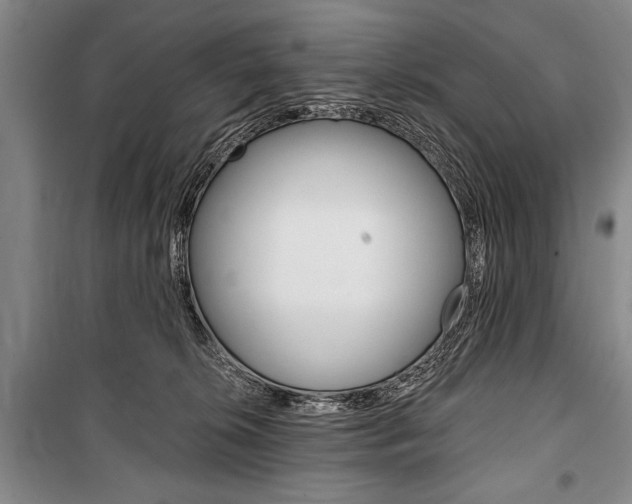 X0000101140276200806270743