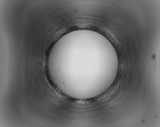 X0000101140277200806270743