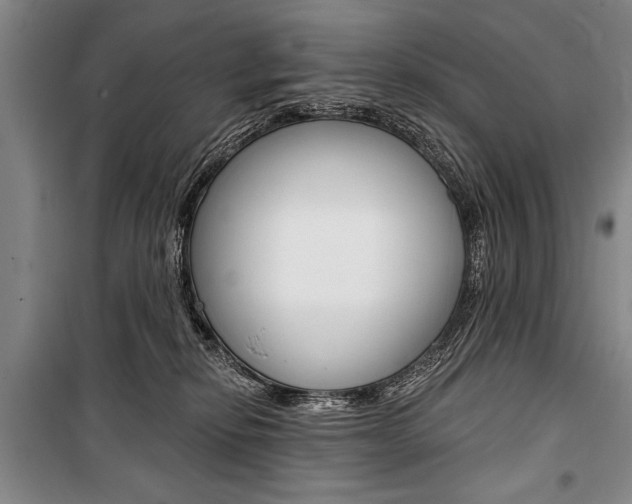 X0000101140278200806270743