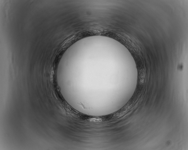 X0000101140279200806270743