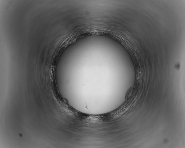 X0000101140280200806270743