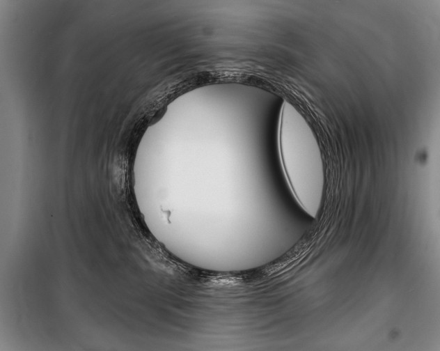 X0000101140283200806270743