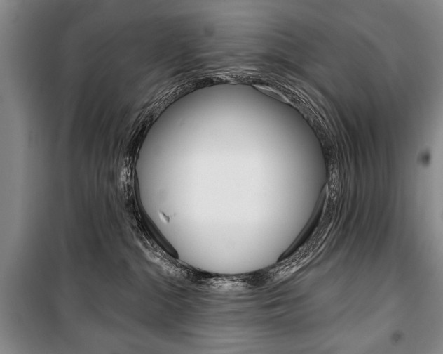 X0000101140284200806270743
