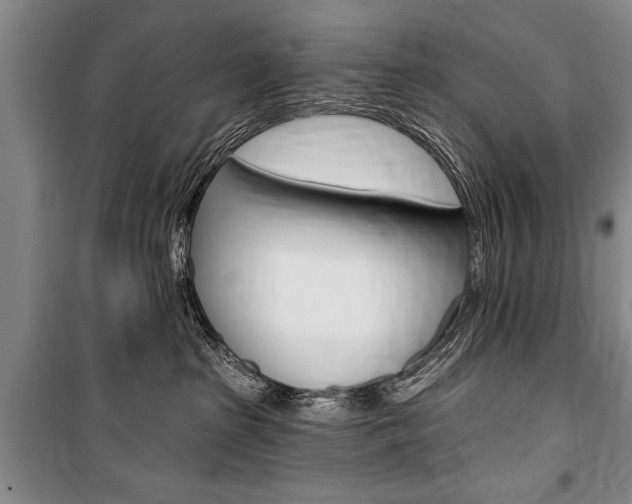 X0000101140285200806270743