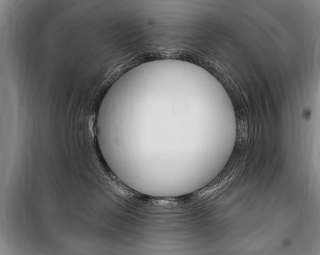X0000101140286200806270743