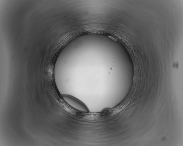 X0000101140288200806270743