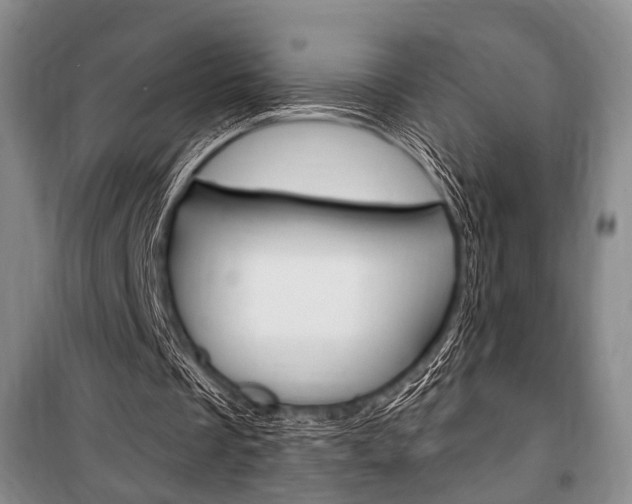 X0000101140289200806270742