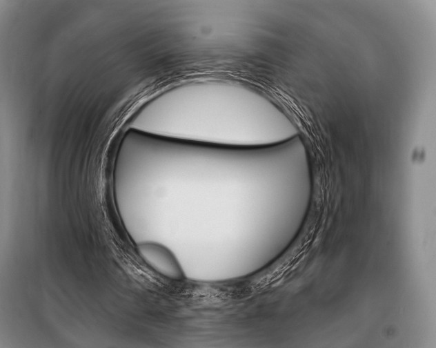 X0000101140290200806270742