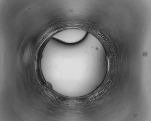 X0000101140291200806270742