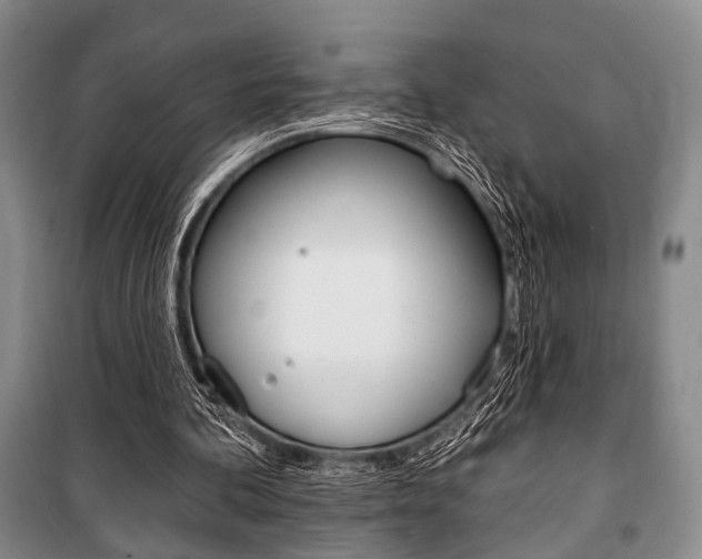 X0000101140292200806270742