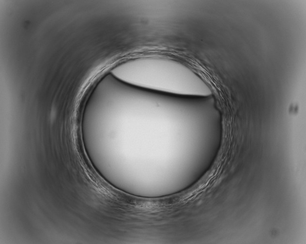 X0000101140293200806270742