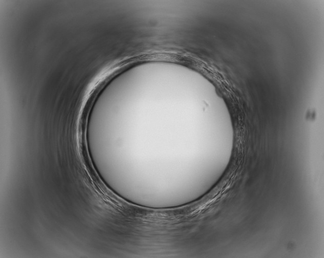 X0000101140294200806270742