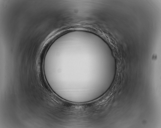 X0000101140295200806270742