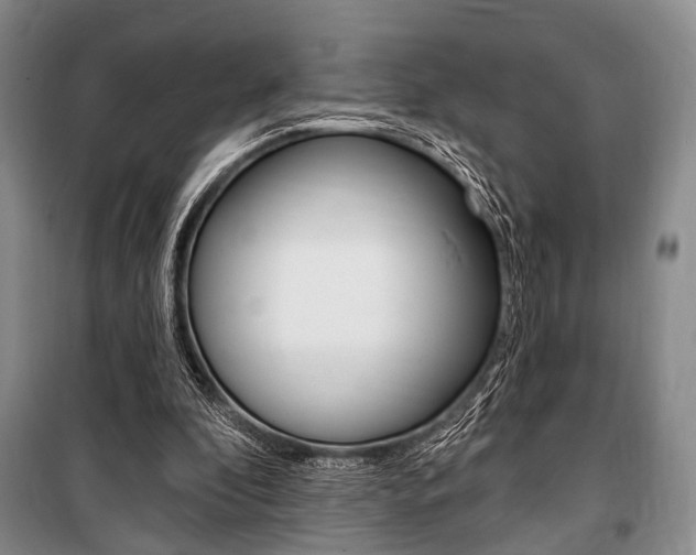 X0000101140296200806270742