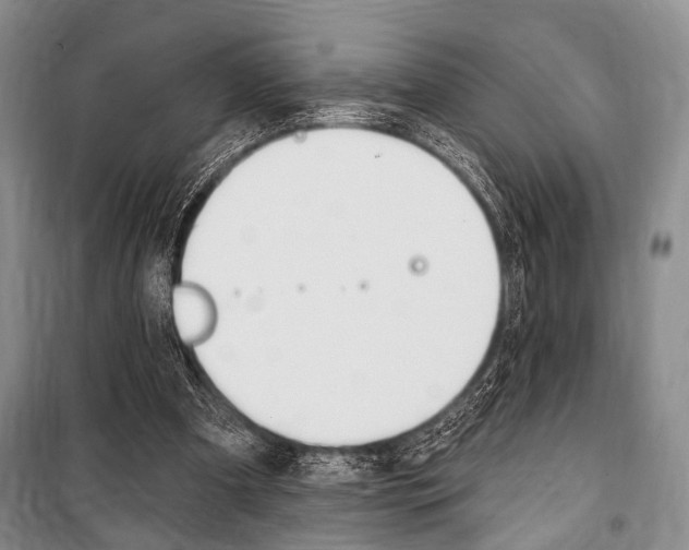 X0000101140297200806270742