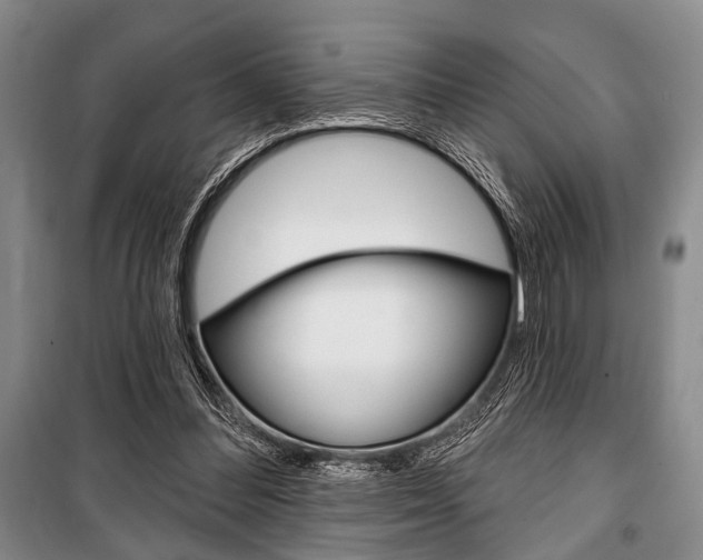 X0000101140300200806270742