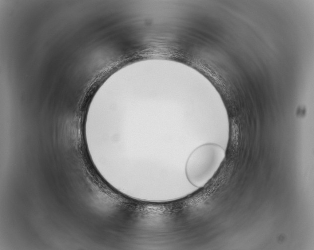 X0000101140302200806270742