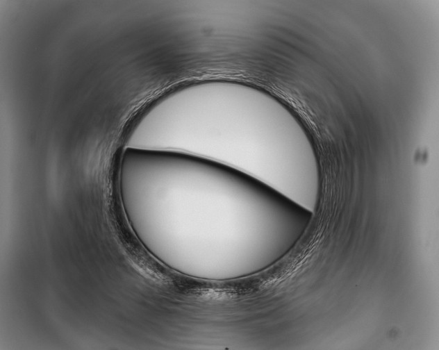X0000101140303200806270742