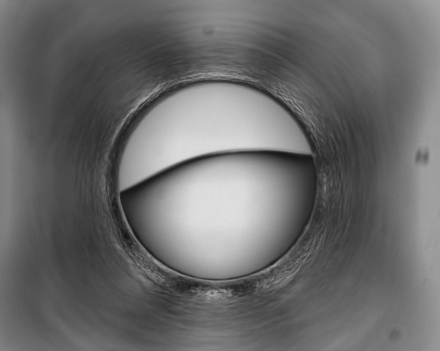 X0000101140304200806270742