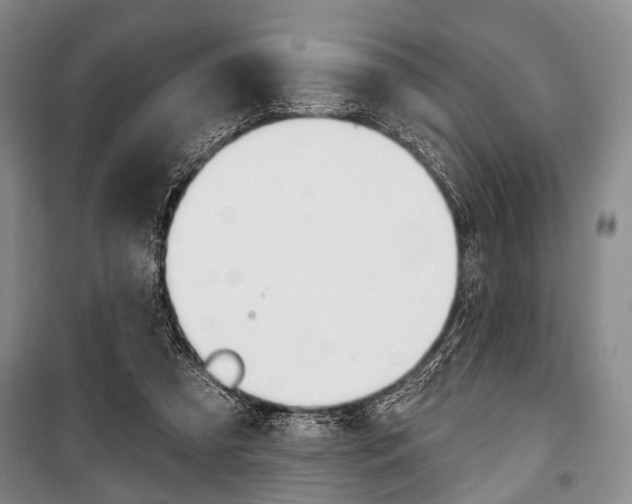 X0000101140305200806270742