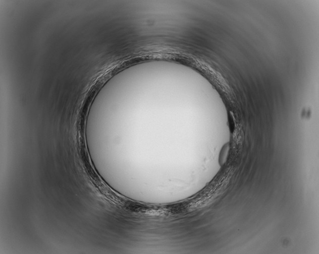 X0000101140306200806270742