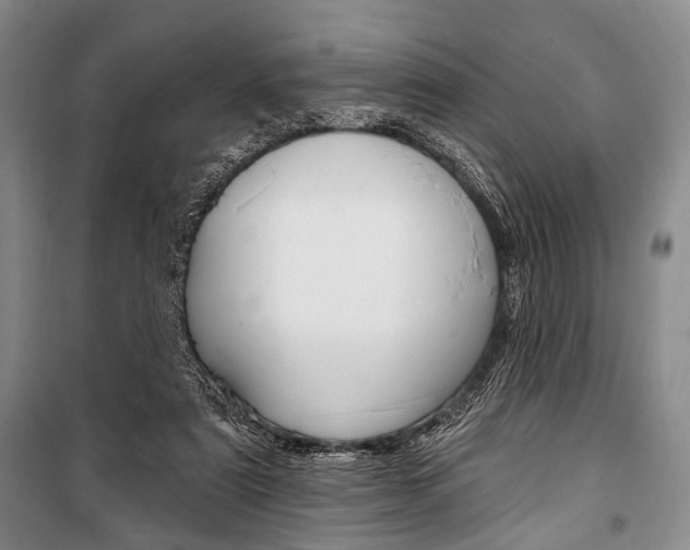 X0000101140307200806270742