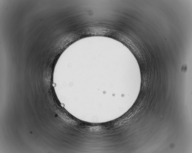 X0000101140309200806270742