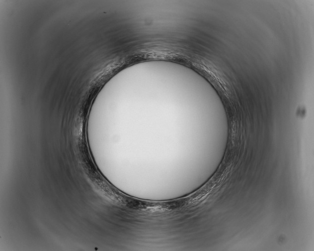 X0000101140310200806270742