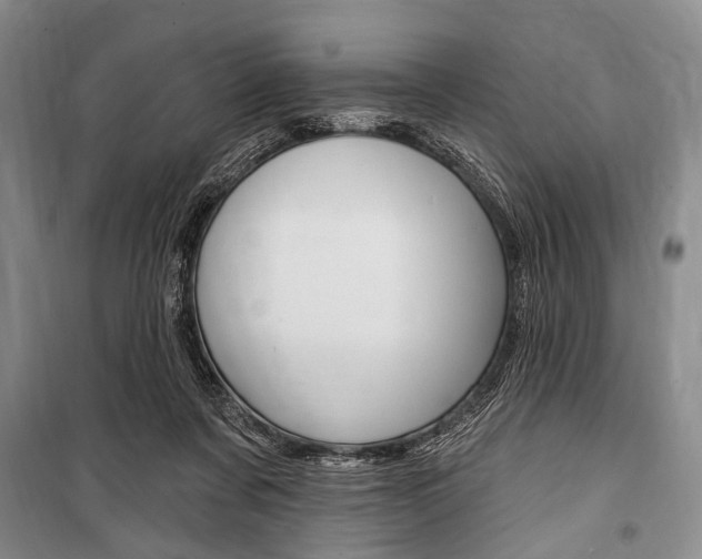 X0000101140311200806270742
