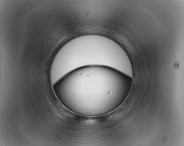 X0000101140312200806270742