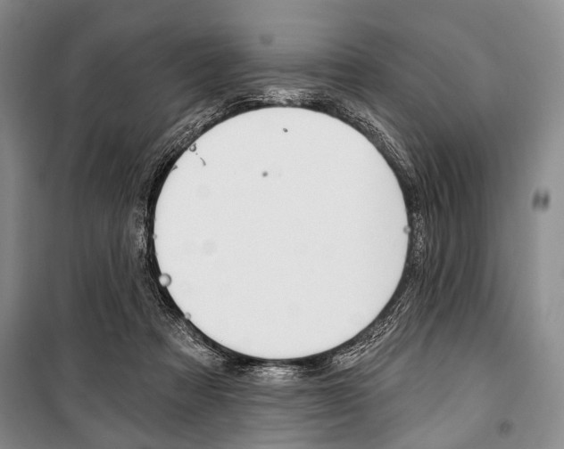 X0000101140313200806270742