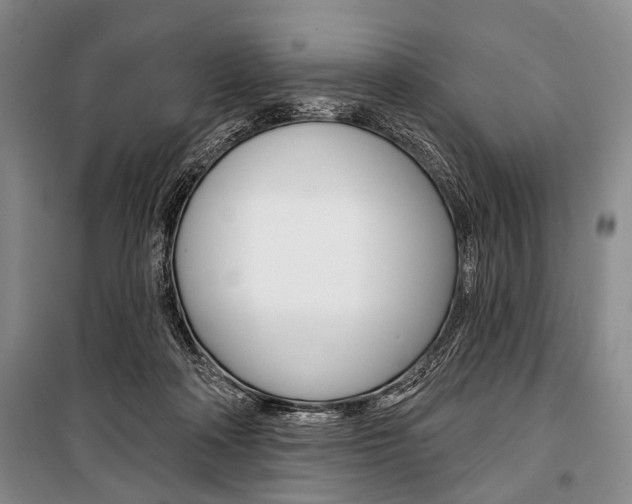 X0000101140314200806270742