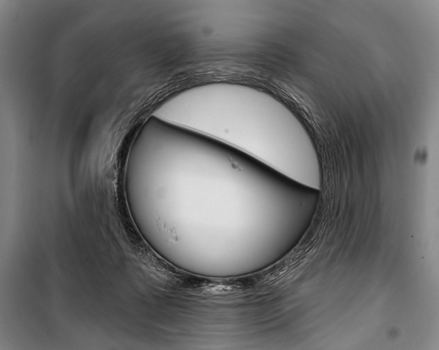 X0000101140315200806270742