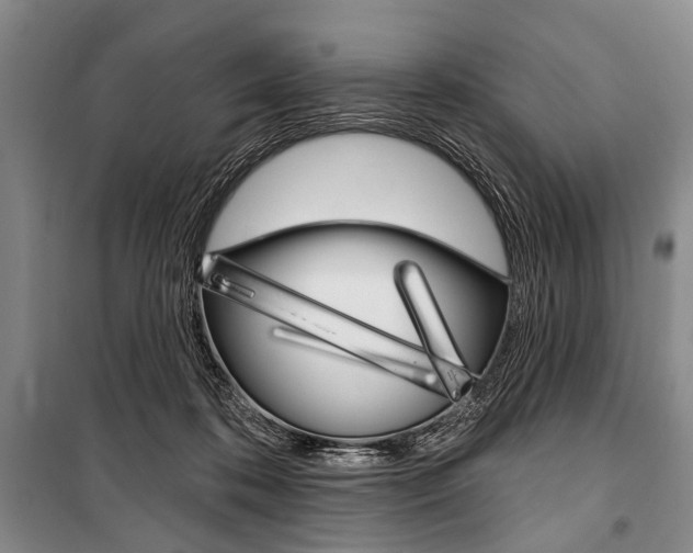 X0000101140316200806270742
