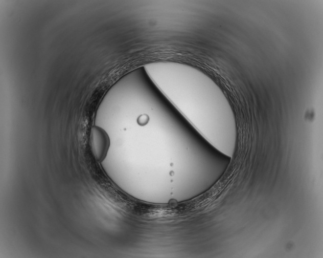 X0000101140319200806270742