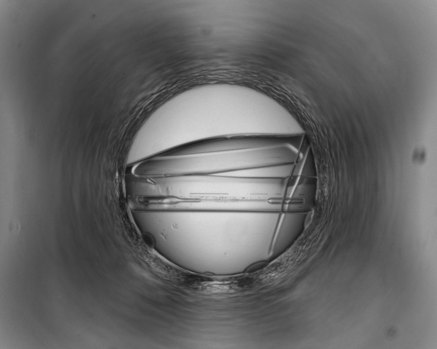 X0000101140320200806270742